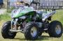 ATV SpeedBirt 250